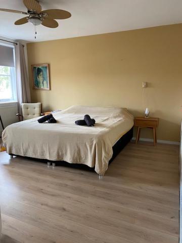 ميدلبورغ Sunnystay 43 المظهر الخارجي الصورة