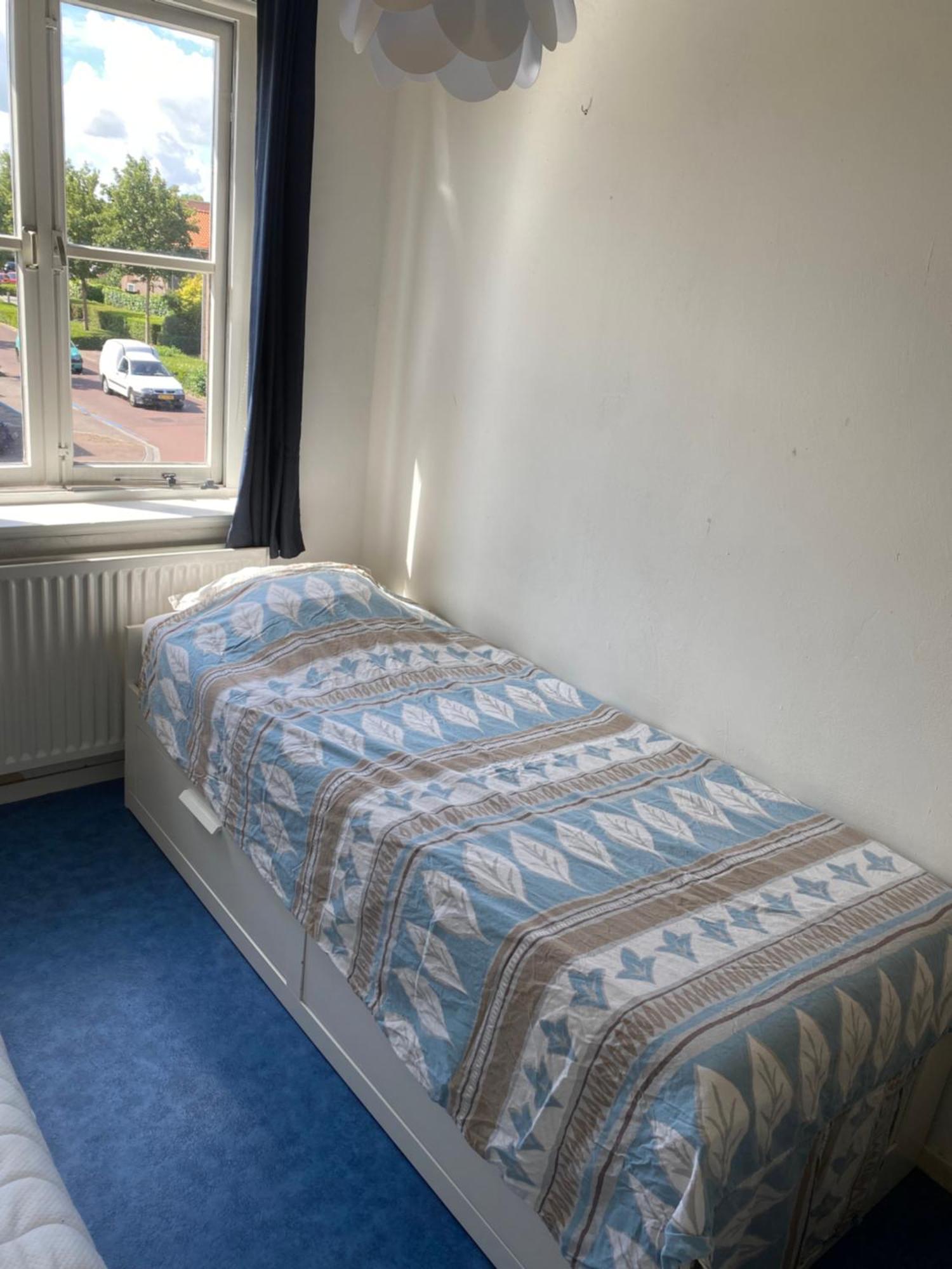 ميدلبورغ Sunnystay 43 المظهر الخارجي الصورة